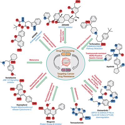 Editorial: Adopting drug repurposing to overcome drug resistance in cancer